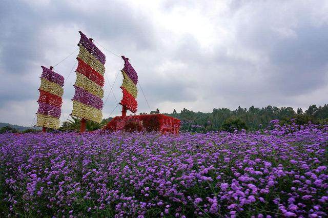 这五大坑爹的五A景区